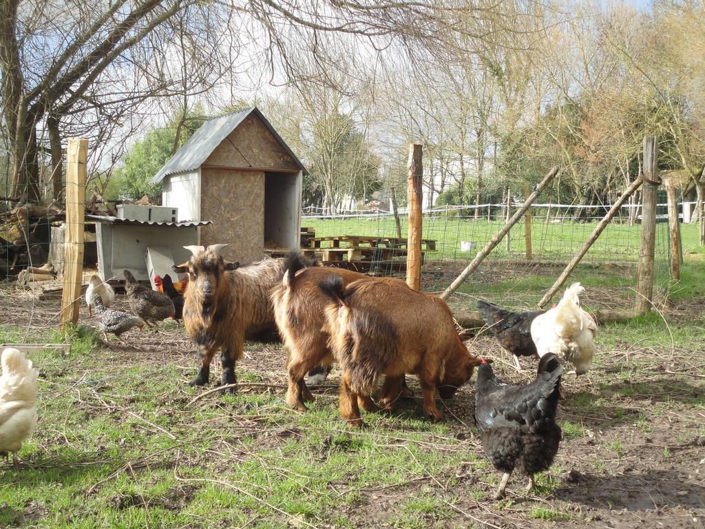 Saint-Saturnin-du-Bois Les 2 Madeleine Bed & Breakfast エクステリア 写真