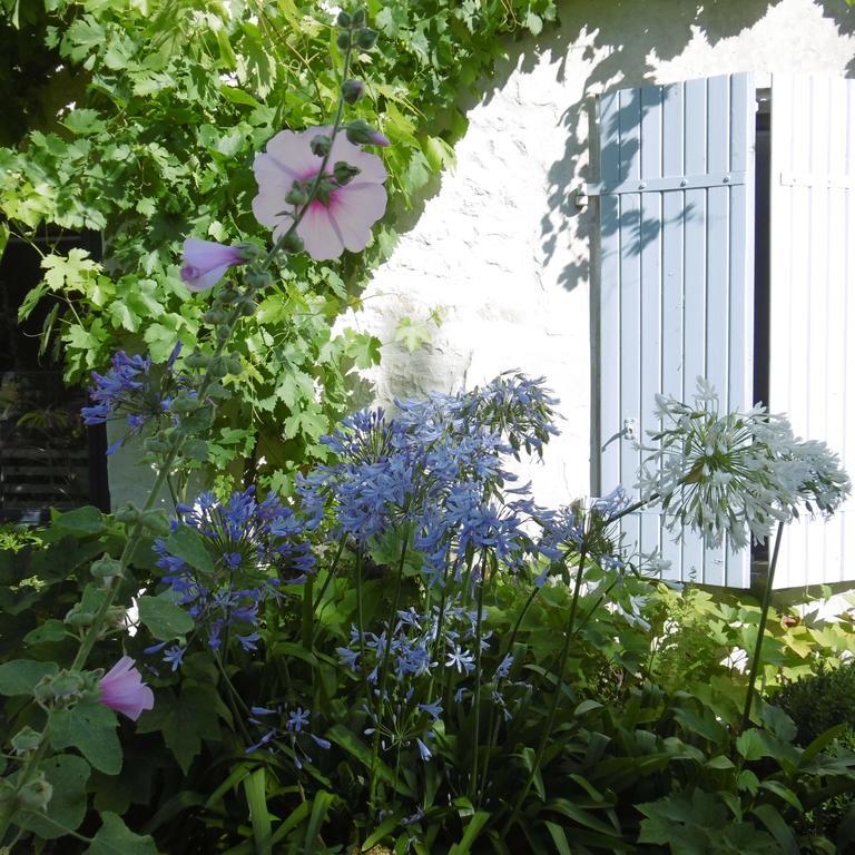Saint-Saturnin-du-Bois Les 2 Madeleine Bed & Breakfast エクステリア 写真