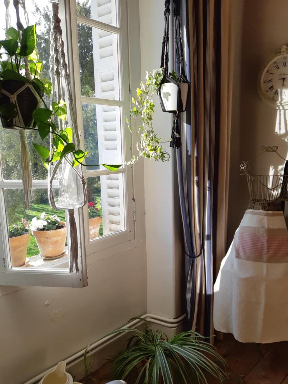 Saint-Saturnin-du-Bois Les 2 Madeleine Bed & Breakfast エクステリア 写真