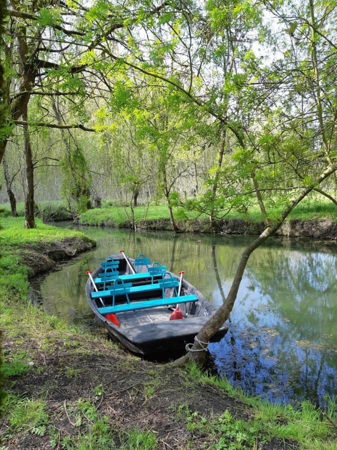 Saint-Saturnin-du-Bois Les 2 Madeleine Bed & Breakfast エクステリア 写真